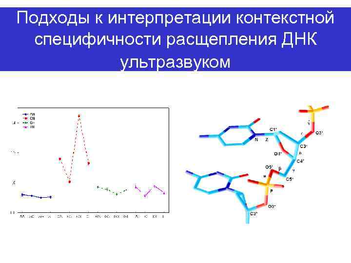 Подходы к интерпретации контекстной специфичности расщепления ДНК ультразвуком 