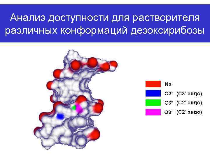 Анализ доступности для растворителя различных конформаций дезоксирибозы 