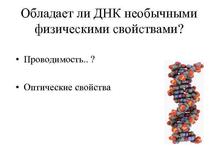 Обладает ли ДНК необычными физическими свойствами? • Проводимость. . ? • Оптические свойства 