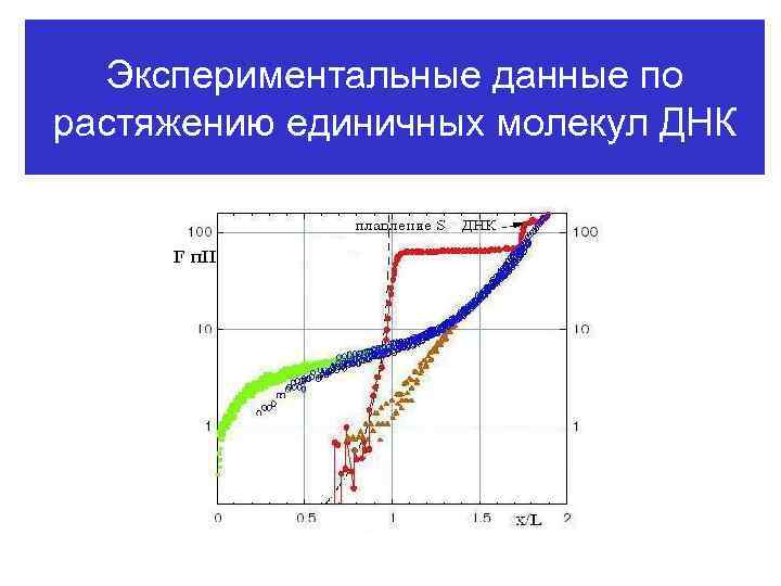 Экспериментальные данные по растяжению единичных молекул ДНК 