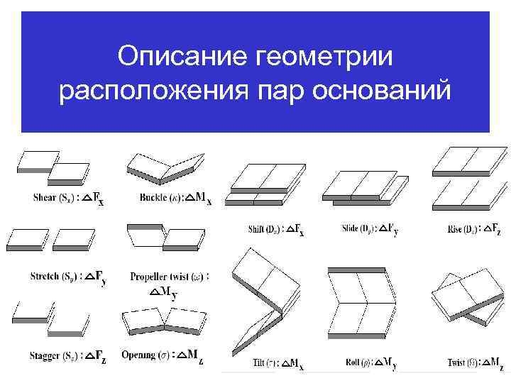 Описание геометрии расположения пар оснований 