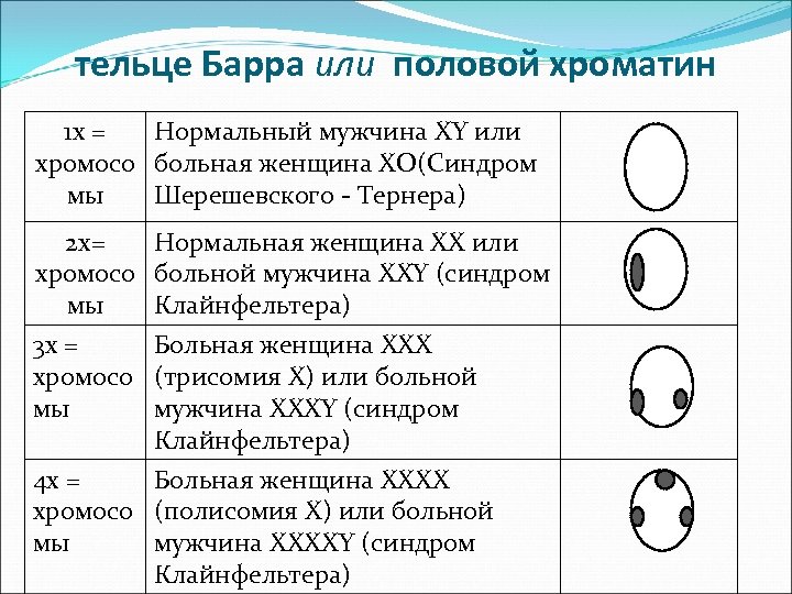 Все клетки больного мужчины имеют 47