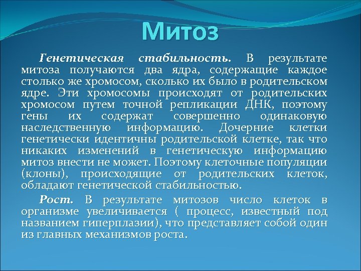 Митоз Генетическая стабильность. В результате митоза получаются два ядра, содержащие каждое столько же хромосом,