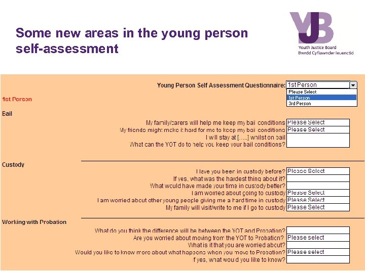 Some new areas in the young person self-assessment 