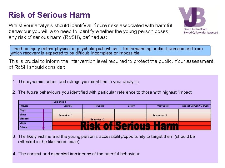 Risk of Serious Harm Whilst your analysis should identify all future risks associated with