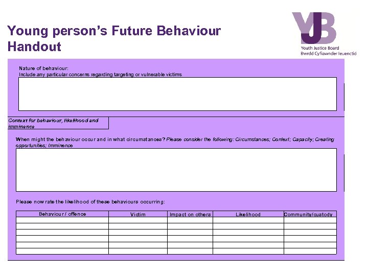 Young person’s Future Behaviour Handout Nature of behaviour: Include any particular concerns regarding targeting