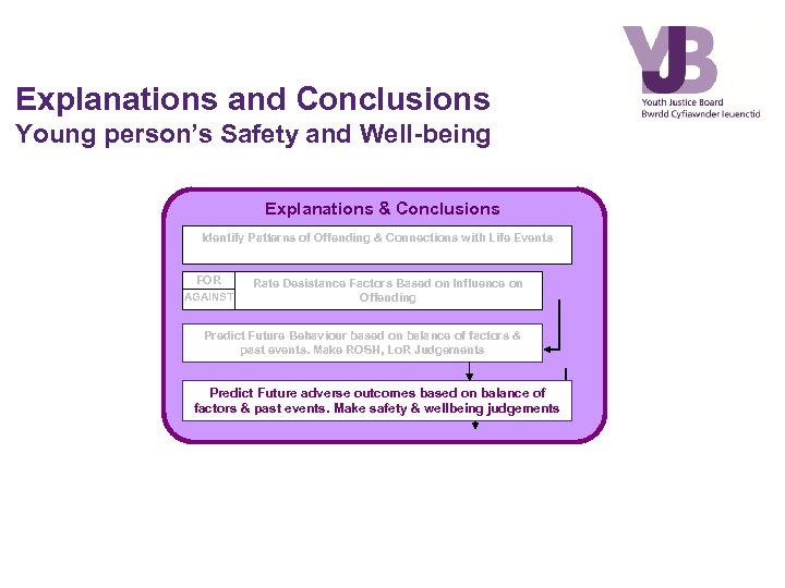 Explanations and Conclusions Young person’s Safety and Well-being Explanations & Conclusions Identify Patterns of