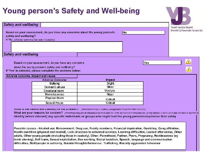 Young person’s Safety and Well-being 