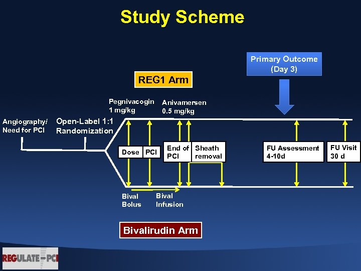 Study Scheme Primary Outcome (Day 3) REG 1 Arm Pegnivacogin 1 mg/kg Angiography/ Need