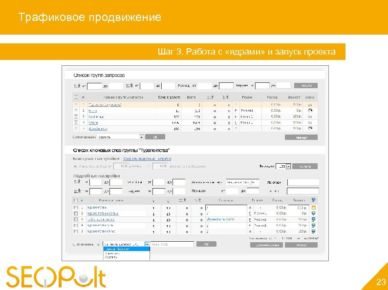 Трафиковое продвижение Шаг 3. Работа с «ядрами» и запуск проекта 23 