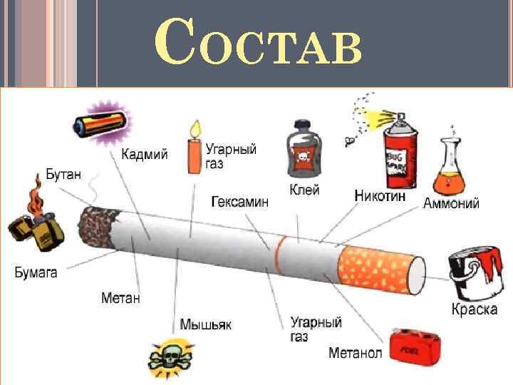 СОСТАВ 