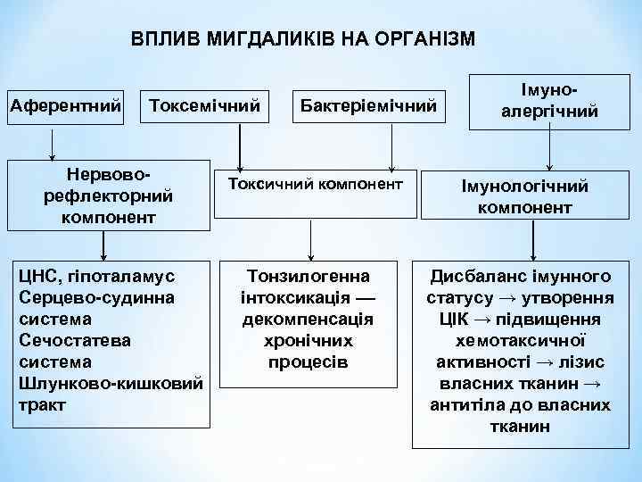 ВПЛИВ МИГДАЛИКІВ НА ОРГАНІЗМ Аферентний Токсемічний Нервоворефлекторний компонент ЦНС, гіпоталамус Серцево-судинна система Сечостатева система