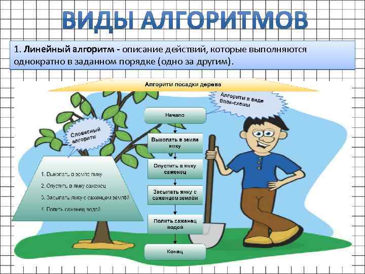 1. Линейный алгоритм - описание действий, которые выполняются однократно в заданном порядке (одно за