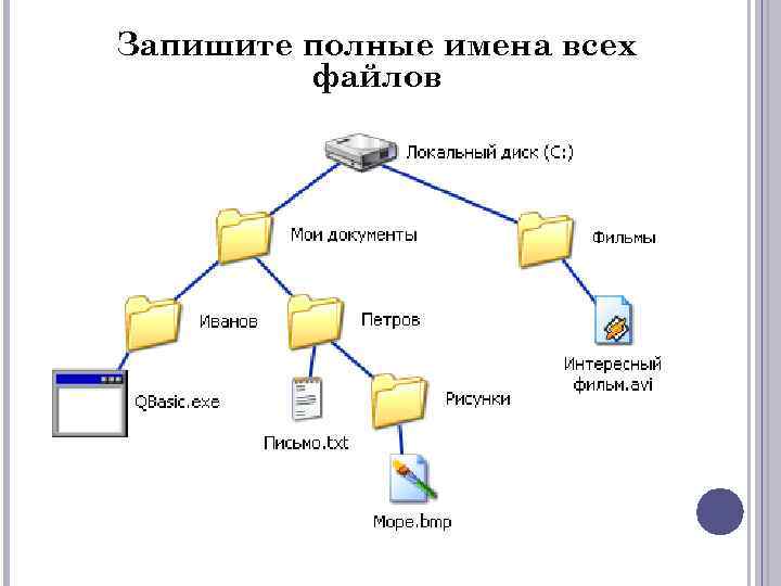 Запишите полные имена всех файлов 