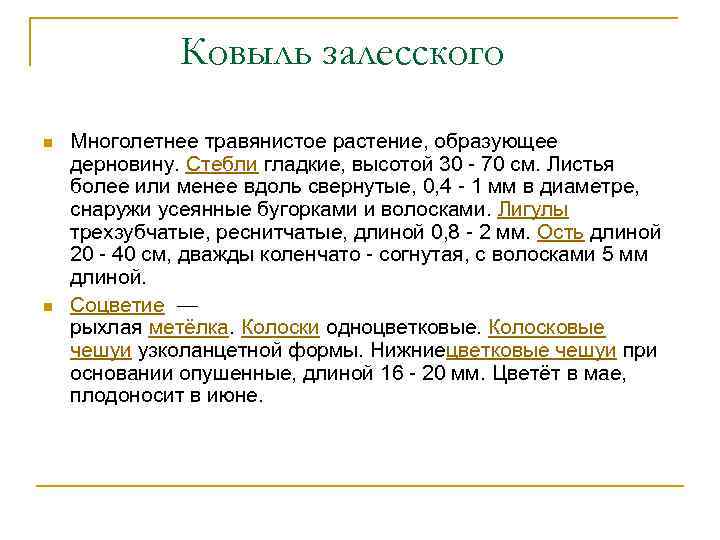 Ковыль залесского n n Многолетнее травянистое растение, образующее дерновину. Стебли гладкие, высотой 30 -