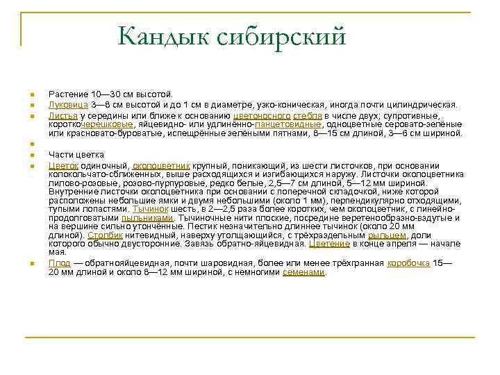 Кандык сибирский n n n n Растение 10— 30 см высотой. Луковица 3— 8