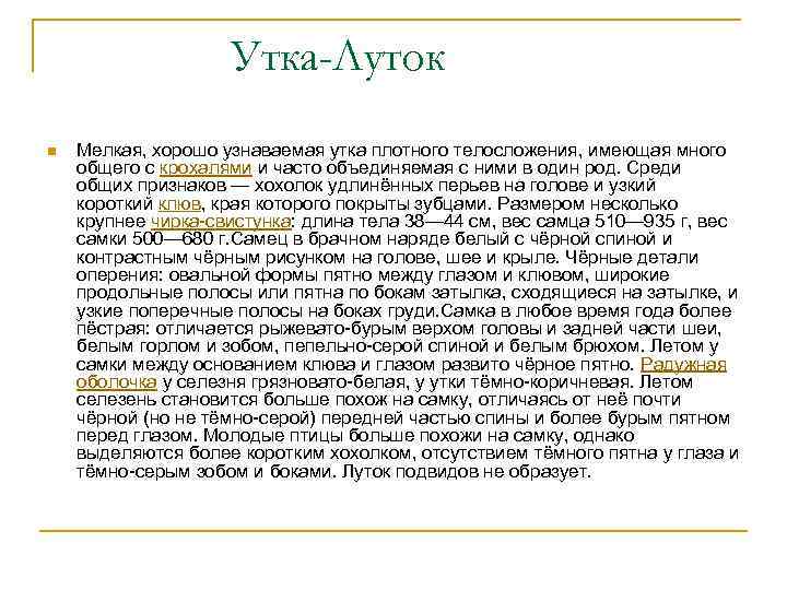 Утка-Луток n Мелкая, хорошо узнаваемая утка плотного телосложения, имеющая много общего с крохалями и