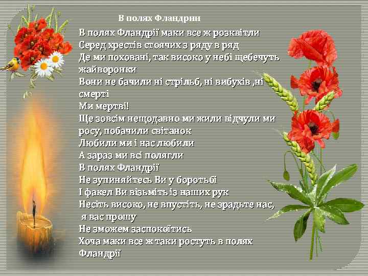 В полях Фландрии В полях Фландрії маки все ж розквітли Серед хрестів стоячих з