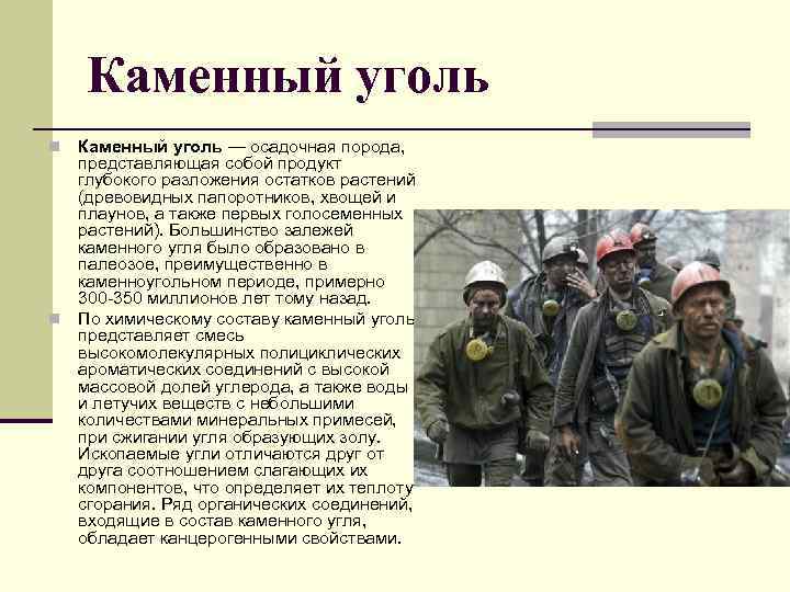 Каменный уголь — осадочная порода, представляющая собой продукт глубокого разложения остатков растений (древовидных папоротников,