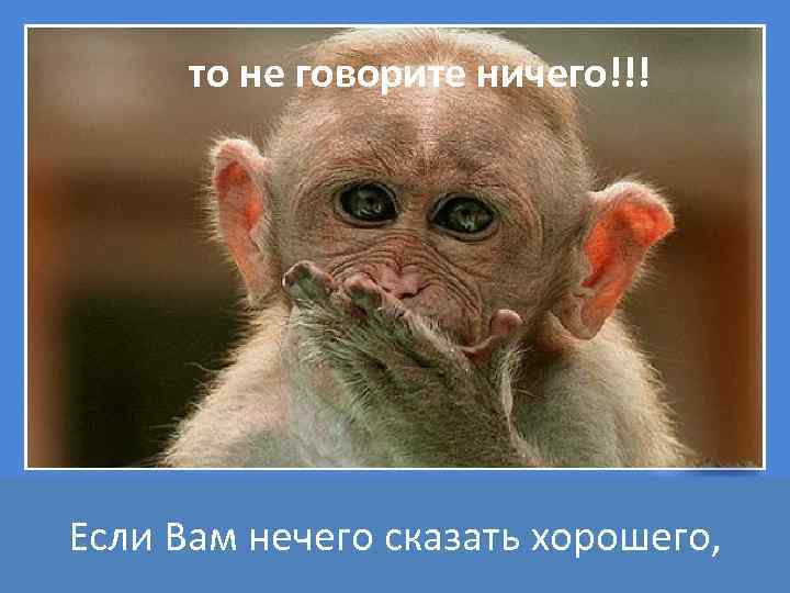 то не говорите ничего!!! Если Вам нечего сказать хорошего, 