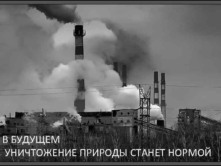 В БУДУЩЕМ УНИЧТОЖЕНИЕ ПРИРОДЫ СТАНЕТ НОРМОЙ 