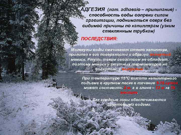 АДГЕЗИЯ (лат. adhaesio – прилипание) способность воды вопреки силам гравитации, подниматься вверх без видимой