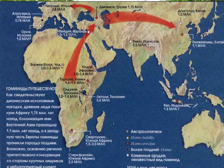  «За время существования морской фауны она была свидетелем, спутником и участником всех изменений,