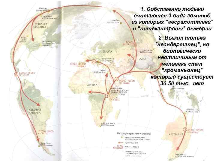 1. Собственно людьми считаются 3 вида гоминид из которых 