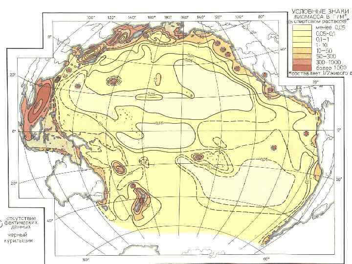 КЛАССИФИКАЦИЯ МОРСКИХ ОРГАНИЗМОВ ПО УСЛОВИЯМ ОБИТАНИЯ Планктон - совокупность видов мелких пассивных, форм растений