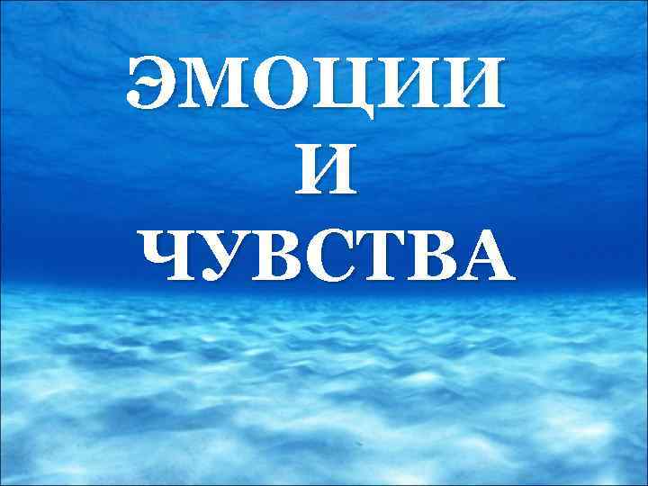 ЭМОЦИИ И ЧУВСТВА 
