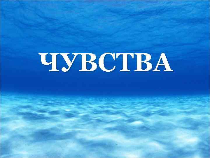 ЧУВСТВА 