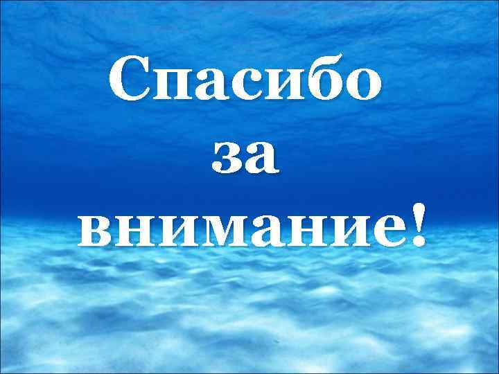 Спасибо за внимание! 
