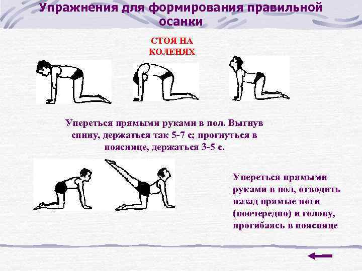 Упражнения для формирования правильной осанки СТОЯ НА КОЛЕНЯХ Упереться прямыми руками в пол. Выгнув