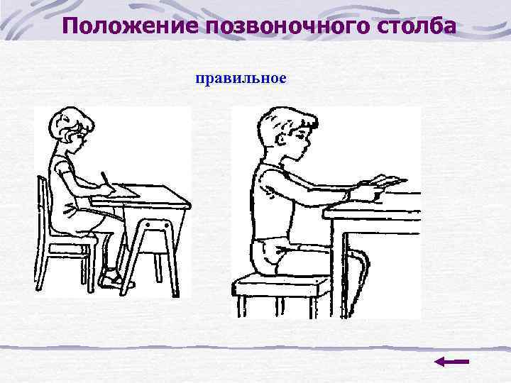 Положение позвоночного столба правильное 