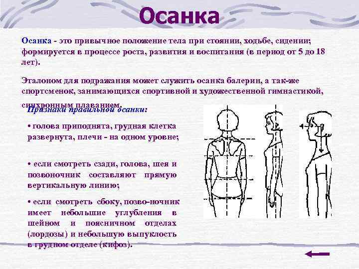 Осанка - это привычное положение тела при стоянии, ходьбе, сидении; формируется в процессе роста,