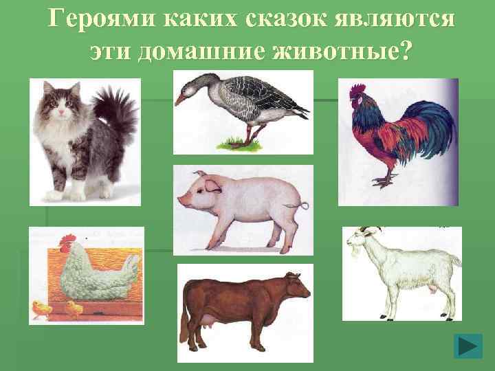 Героями каких сказок являются эти домашние животные? 