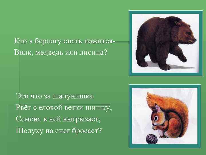 Кто в берлогу спать ложится. Волк, медведь или лисица? Это что за шалунишка Рвёт