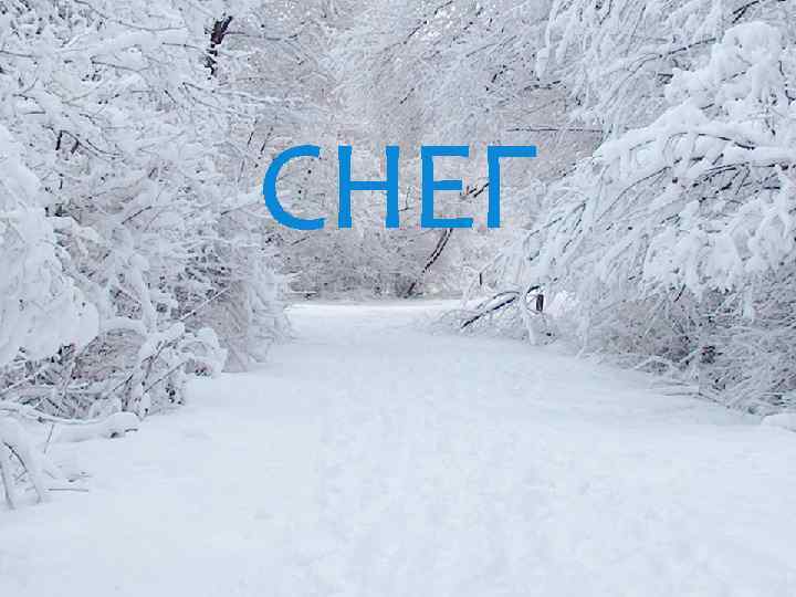 СНЕГ 