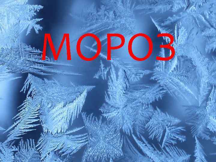 МОРОЗ 
