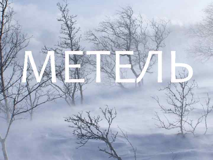 МЕТЕЛЬ 