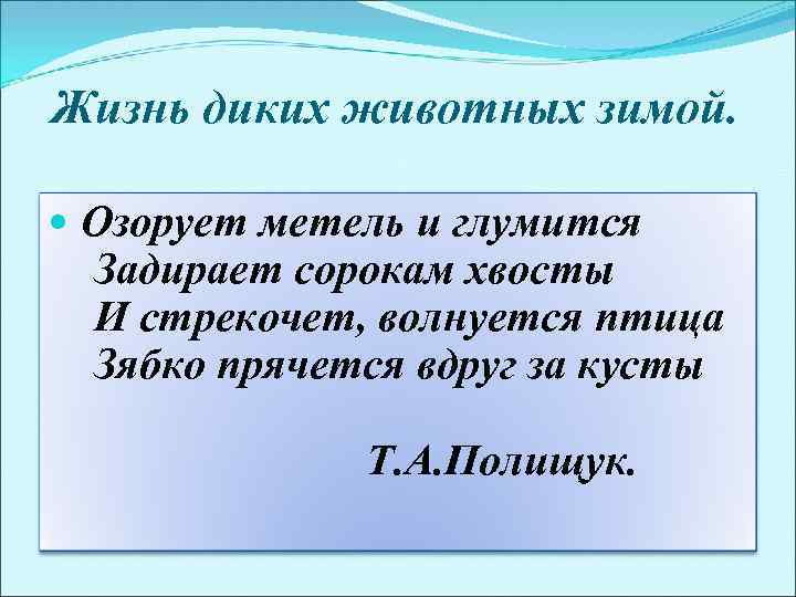 Жизнь диких животных зимой. Озорует метель и глумится Задирает сорокам хвосты И стрекочет, волнуется