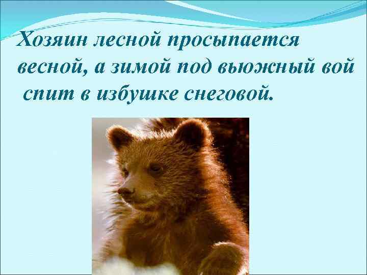 Хозяин лесной просыпается весной, а зимой под вьюжный вой спит в избушке снеговой. 