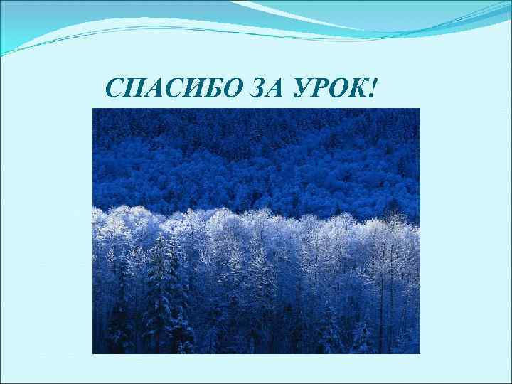 СПАСИБО ЗА УРОК! 