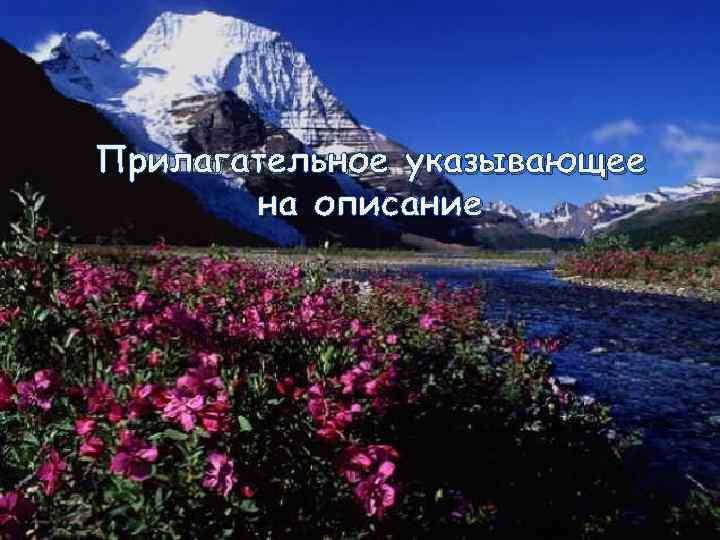 Прилагательное указывающее на описание 