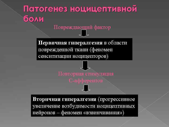 Патогенез ноцицептивной боли Повреждающий фактор Первичная гипералгезия в области поврежденной ткани (феномен сенситизации ноцицепторов)