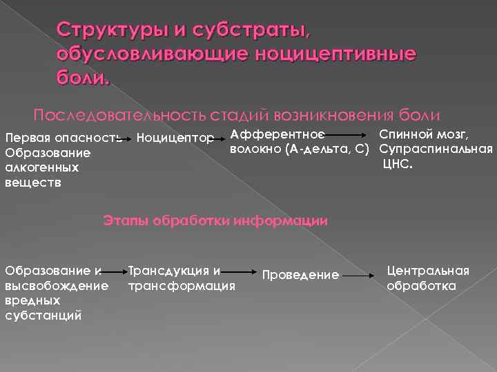 Структуры и субстраты, обусловливающие ноцицептивные боли. Последовательность стадий возникновения боли Первая опасность Образование алкогенных