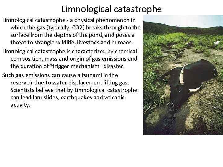 Limnological catastrophe - a physical phenomenon in which the gas (typically, CO 2) breaks