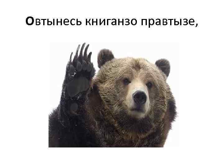 Овтынесь книганзо правтызе, 