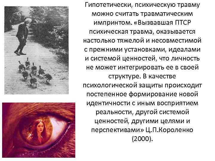 Гипотетически, психическую травму можно считать травматическим импринтом. «Вызвавшая ПТСР психическая травма, оказывается настолько тяжелой