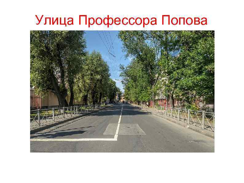 Улица Профессора Попова 